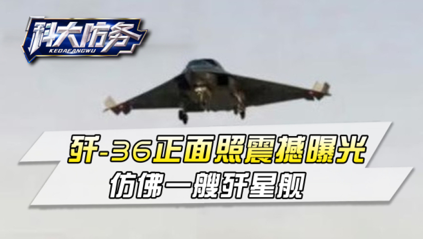 2025今晚澳门管家婆一肖一码,蒋勤勤秒变毛茸茸玩偶,精准解释落实及其象征意义_影像版V1.65