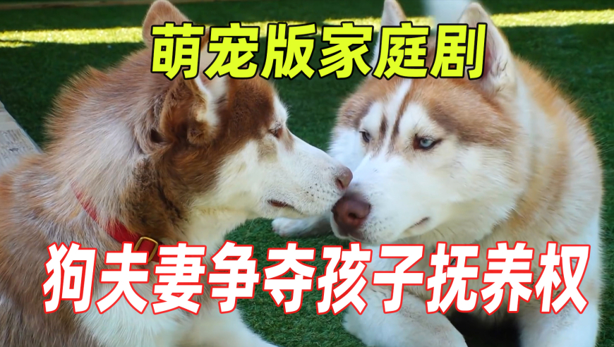 赵丽颖真的很喜欢哪吒,澳门最快开奖结果开奖直播视频,重点解答解释落实_增强版V7.12