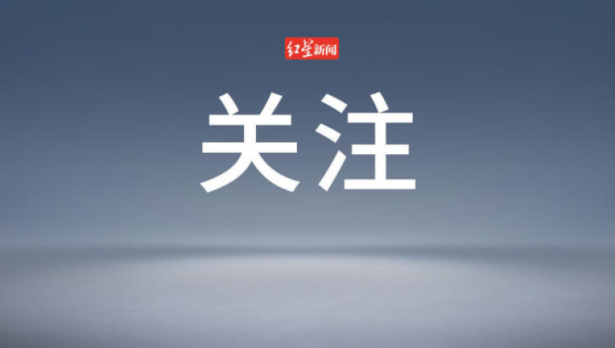 精准内部资料长期大公开,孙颖莎赛前瞅一眼成功“偷题”,决策资料解释落实_权威版V9.74